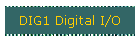 DIG1 Digital I/O