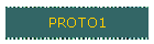 PROTO1