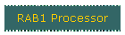 RAB1 Processor