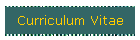 Curriculum Vitae