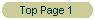Top Page 1