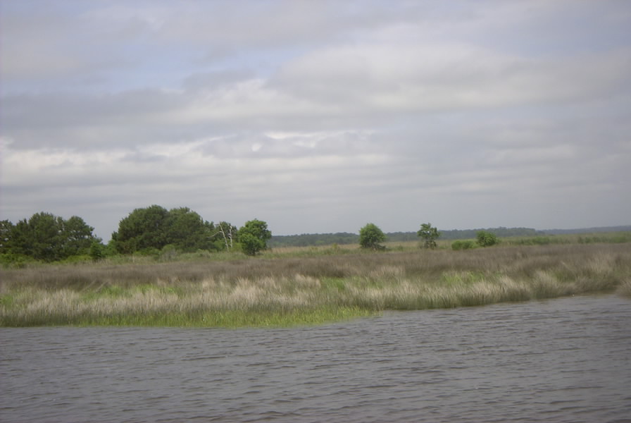 Sailing up the ICW is often like living in an IMAX film.