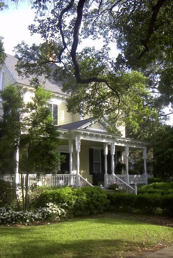 A magnolia tree graces the ann magnolia tree pictures. A magnolia tree graces the