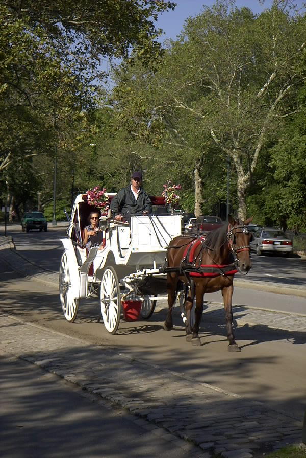 Central Park