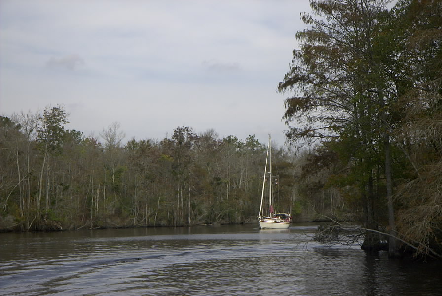 Dismal Swamp Canal